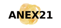 ANEX21